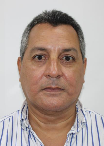 David Ricardo Barturen Alvarez