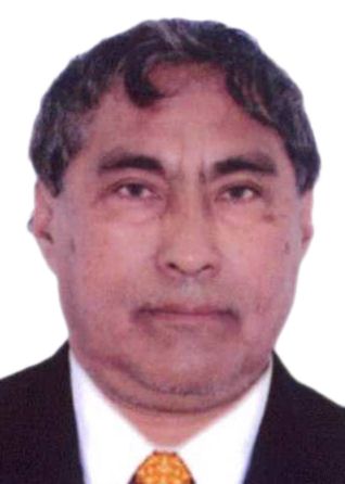 Saul Andres Armacanqui Morales