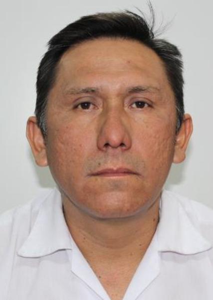 Mario Ernesto Villanueva Rodriguez