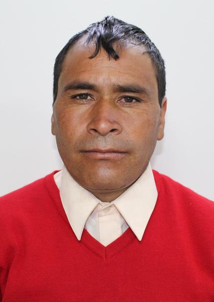 Alejandro Ramos Lizana