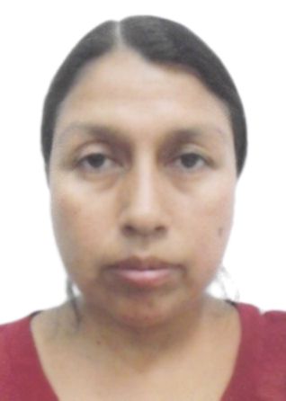 Carmen Alcira Ferro Fuentes