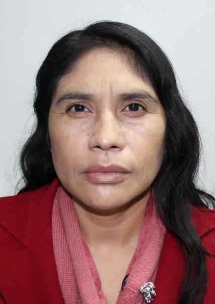 Delfina Tarcila Castillejo Pari