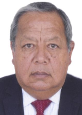 Elmer Enrique Marin Pasara