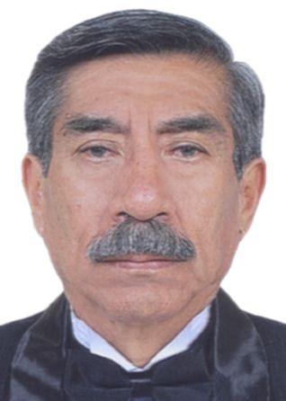 Enrique Gerardo Llanos Campos