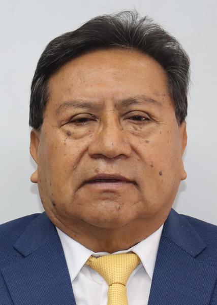 Marcial Alcibiades Palomino Garcia Milla