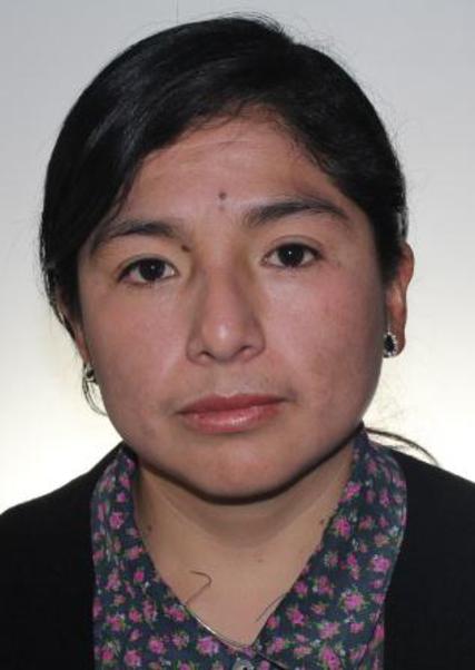 Virginia Casas Bravo