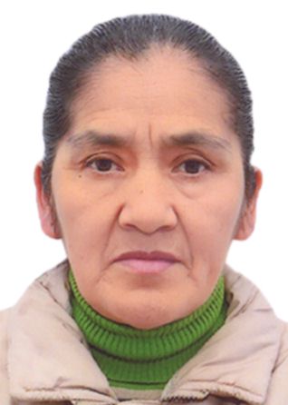 Flavia Irene Pampa Estrada Vda De Placido