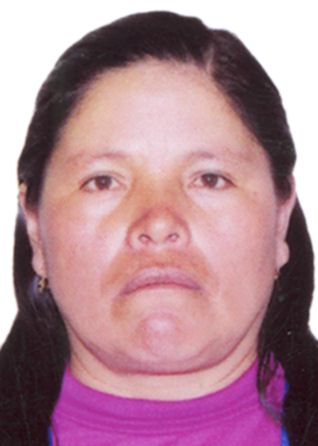 Ludgarda Cespedes Pujay