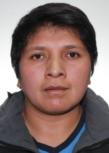 Lizbeth Karina Alegre Cahuas