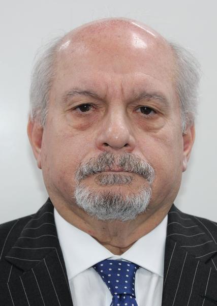 PEDRO ALVARO CATERIANO BELLIDO