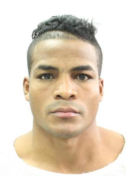 David Martin Zegarra Albarracin