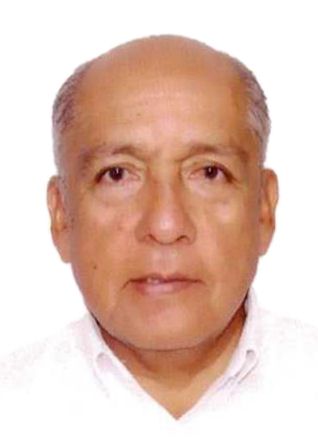 Haroldo Fernando Paco Castillo