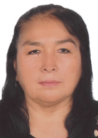 Julia Hermelinda Mori Luciano