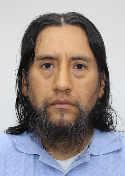 Roberto Romani Vargas