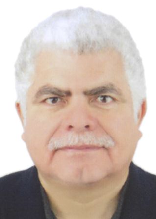 Hernan Italo Diaz Seminario